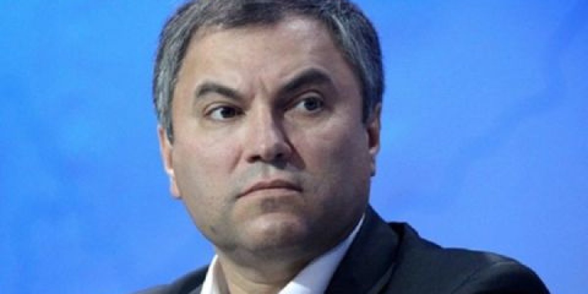 Володин заявил о снижении числа детей мигрантов в России на 25% Володин заявил о снижении числа детей мигрантов в России на 25%