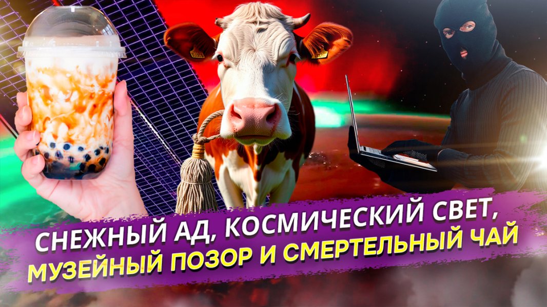 Второй этаж сугробов, красные сияния над Крымом и корова со шваброй: итоги одной недели Второй этаж сугробов, красные сияния над Крымом и корова со шваброй: итоги одной недели