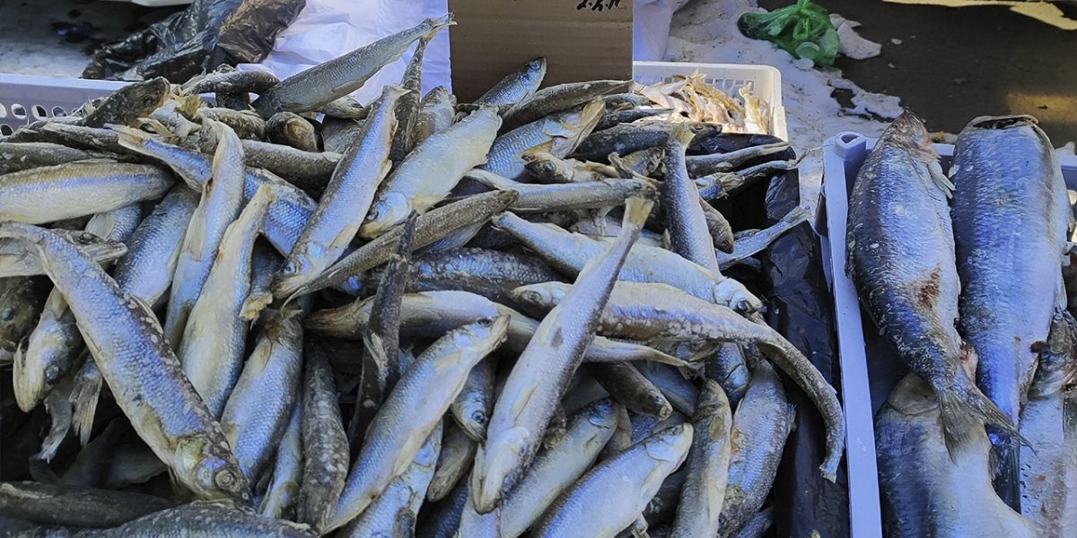 Рыба в Приморье продолжает дорожать