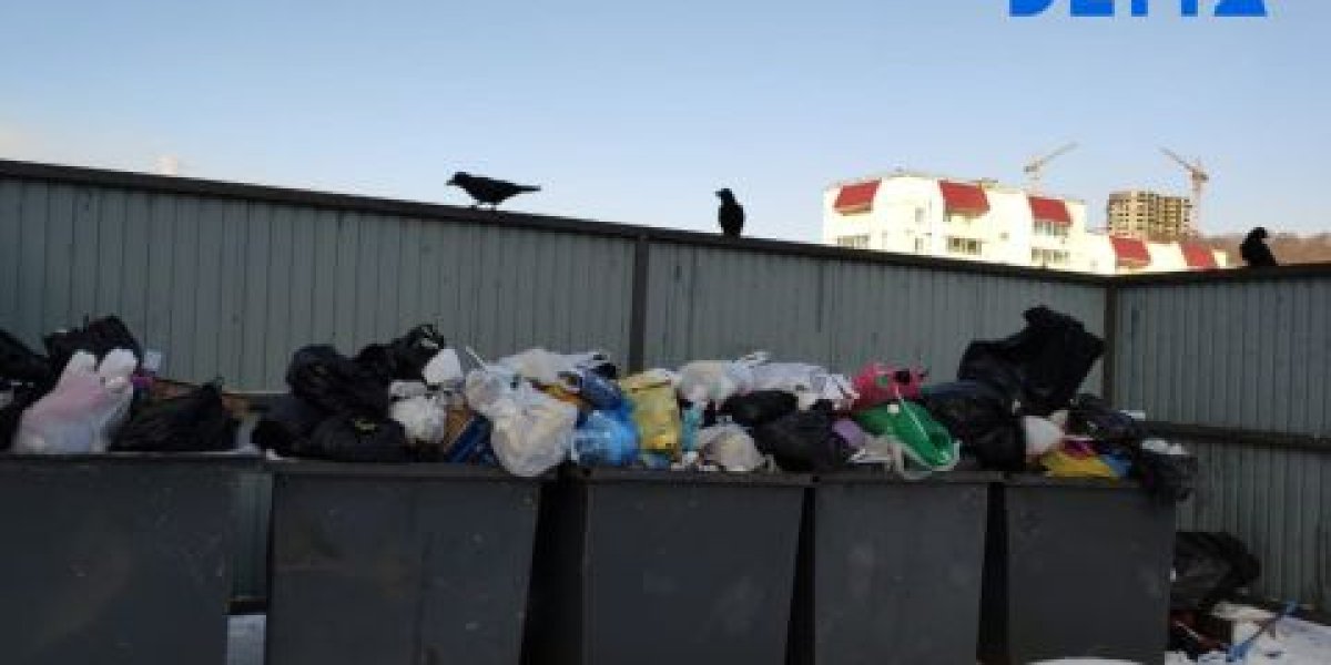 Миллиард на войну с мусором в Приморье &ndash; мусор побеждает?