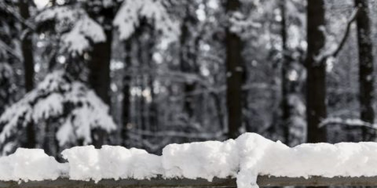 Снегопады и похолодание ожидаются в Приморье в выходные