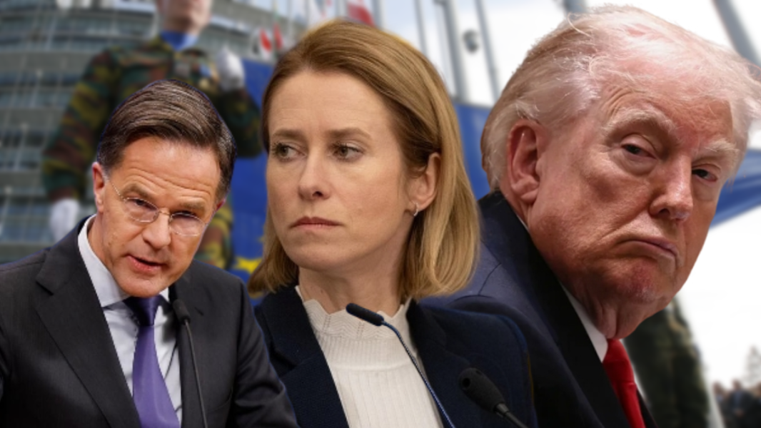 Каллас против создания единой армии ЕС || НАТО создаёт «банк агрессии» против РФ