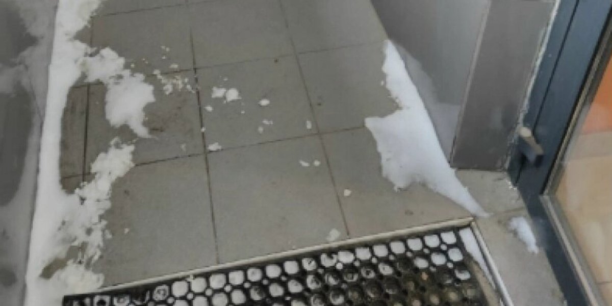 Россияне бойкотируют &laquo;Додо Пиццу&raquo;, уволившую курьера за плед для бездомной собаки