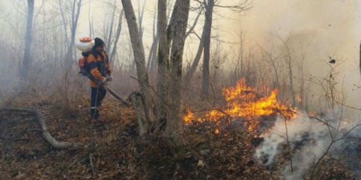 Пожары охватили юг Приморского края (ОБНОВЛЕНО В 14:56)