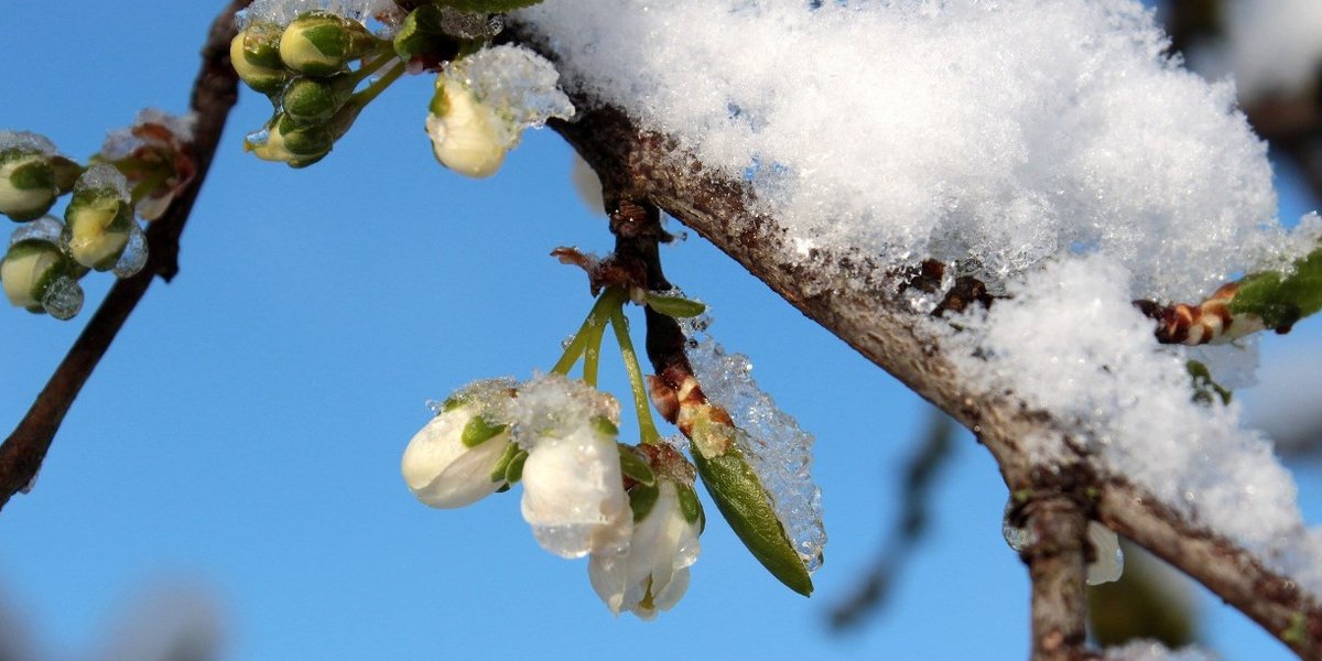 Когда придет весна в 2026 году: синоптики назвали сроки потепления в России