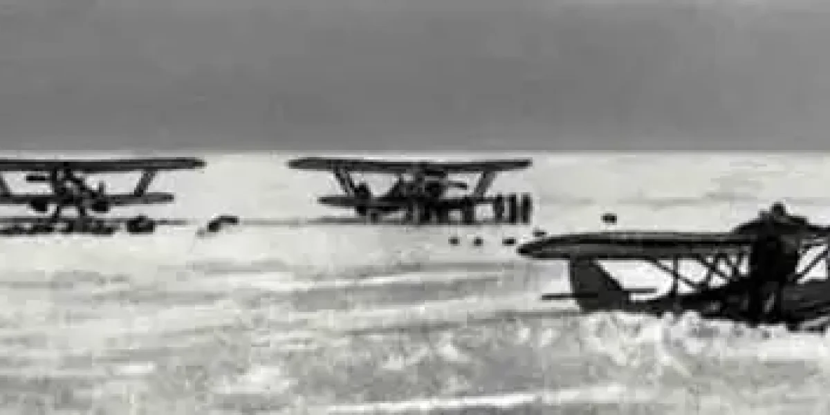 Не туда ведут страну, нет примеров для молодежи. Почему Подоляка вдруг вспомнил о "челюскинцах"?