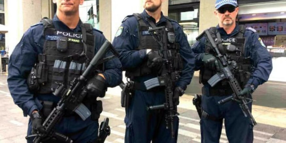 Докатились. Полицейские с автоматами начнут защищать диаспоры от исламофобов и противников многонационализма