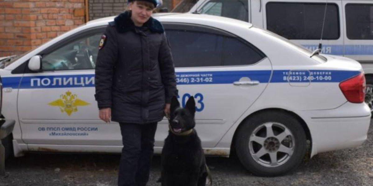 Служебная собака поймала приморца, забившего женщину табуреткой Служебная собака поймала приморца, забившего женщину табуреткой