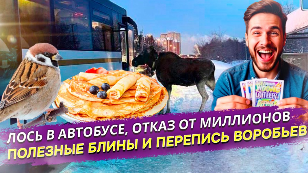 Почему воробьёв считают, а миллионы &mdash; нет? И другие вопросы к российской действительности