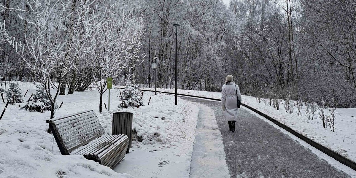 В Гидрометцентре москвичам пообещали мягкие морозы