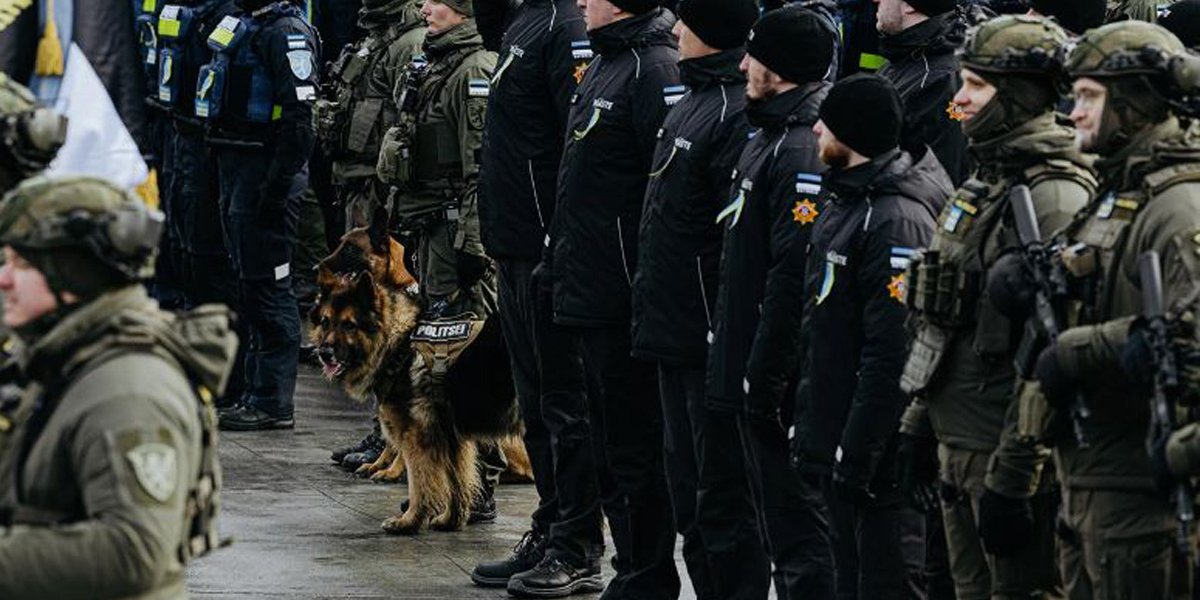 Тысяча военных, 37 единиц техники и 4 собаки: в Таллине прошел парад Сил обороны Эстонии (ФОТО)