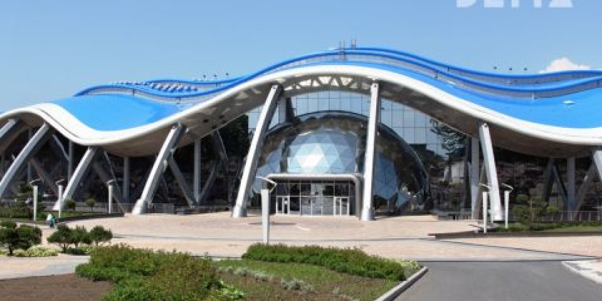 Как удивить Ким Чен Ына: раскрыты &laquo;тайны&raquo; Приморского океанариума