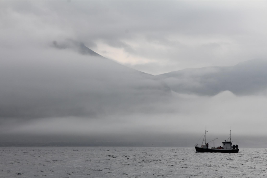 Фарерские острова в тумане: соглашение 1977 года ставится под вопрос