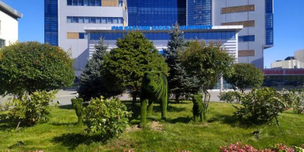 Обязательные дисциплины для всех вузов вводят в России