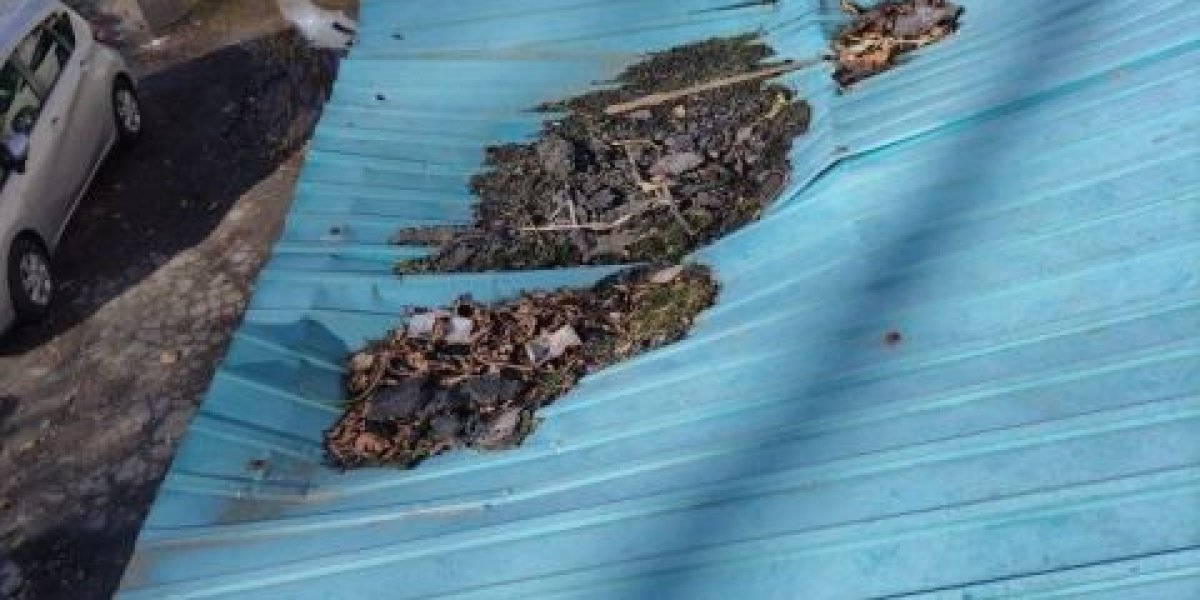 УК бездействует, подвал тонет: аварию в многоквартирном доме отказались ликвидировать на выходных