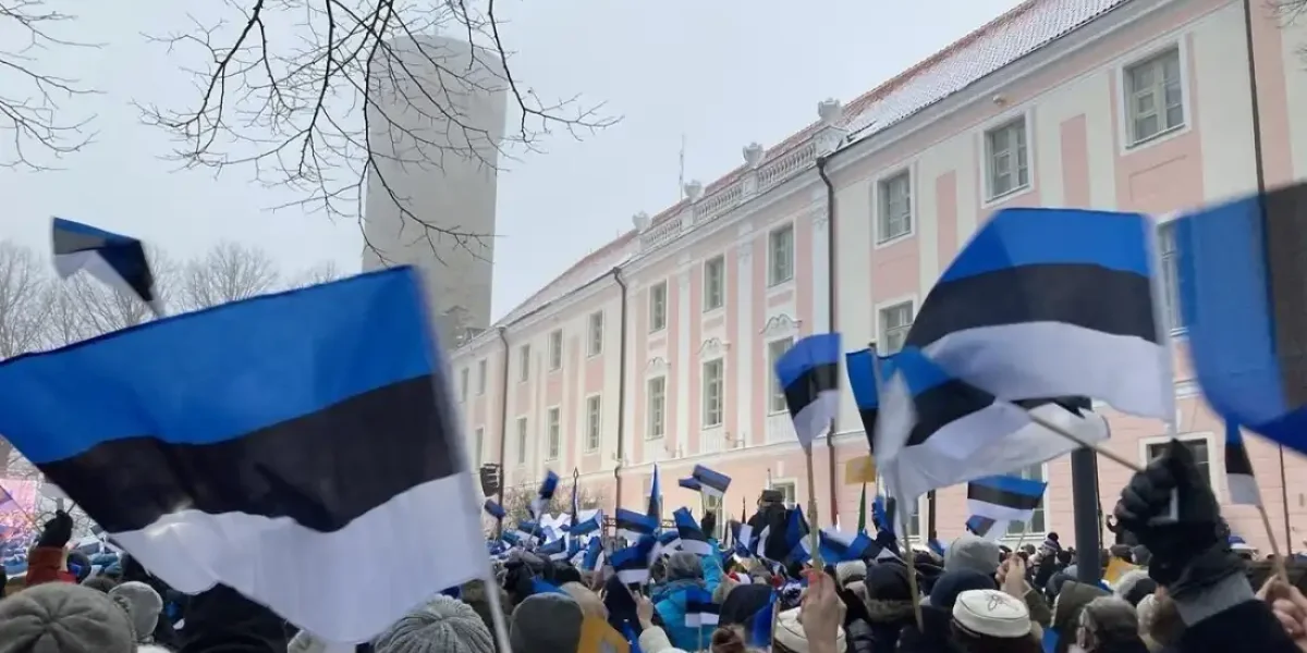 «Суши весла, Эстония - возмездие за глупость»: местные жители тихо замерзают в собственных домах и жгут сырые дрова