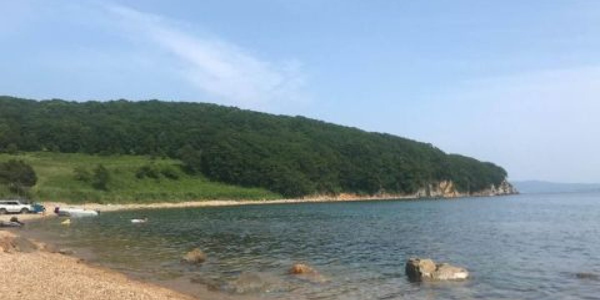 Суд окончательно подтвердил незаконность передачи 600 гектаров на острове Путятина Суд окончательно подтвердил незаконность передачи 600 гектаров на острове Путятина