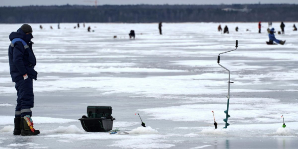 Финский залив впервые с начала 2010-х полностью скован льдом