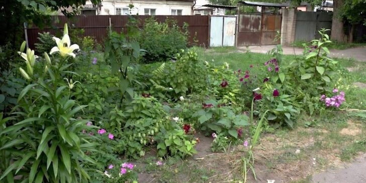 6 цветов, которые мы больше не сажаем у дома &mdash; и вам тоже не советуем