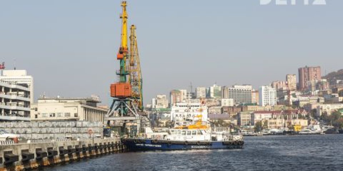 Крупный газовый проект сорвали в Приморье