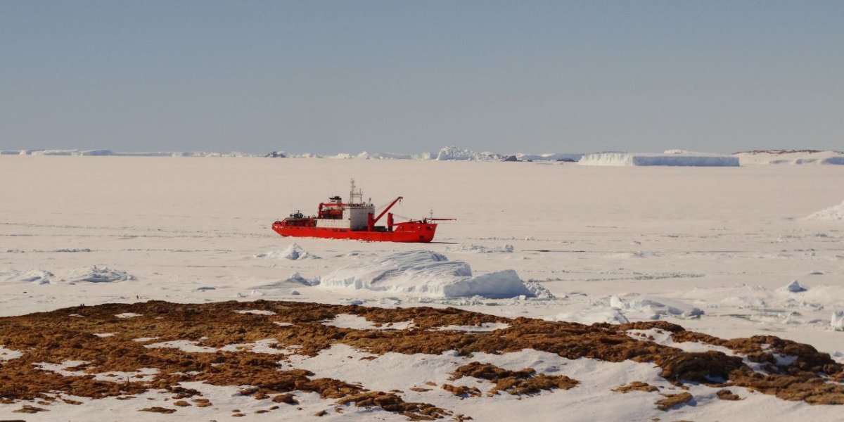 Антарктида на связи: базовая станция сотовой связи появилась в бухте Тала Антарктида на связи: базовая станция сотовой связи появилась в бухте Тала