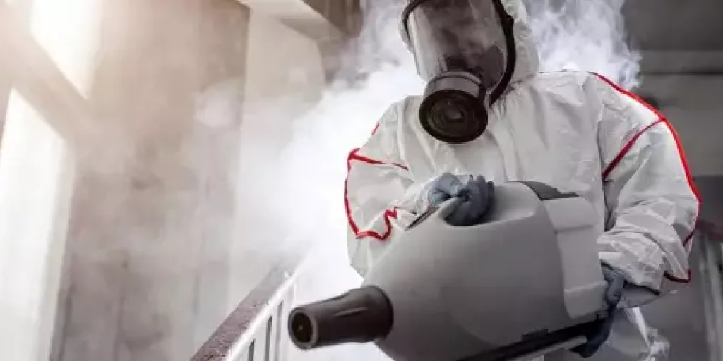 Борьба с грызунами в Новосибирске: профессиональные способы дератизации