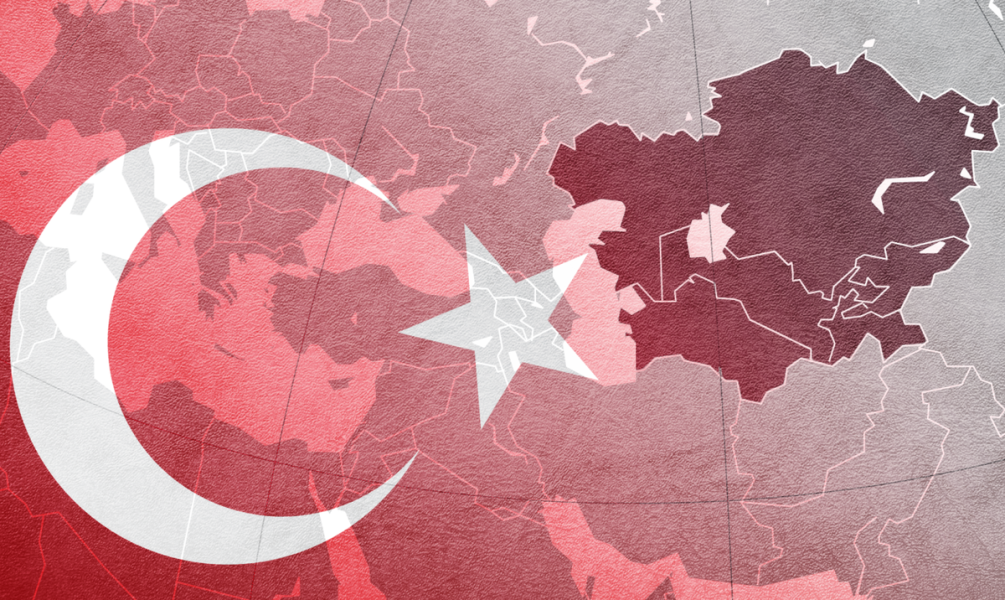 Турецкая &laquo;мягкая сила&raquo; в Центральной Азии: достижения и проблемы