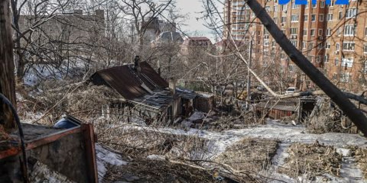 Грязевая столица: жители Владивостока жалуются на повсеместную антисанитарию Грязевая столица: жители Владивостока жалуются на повсеместную антисанитарию