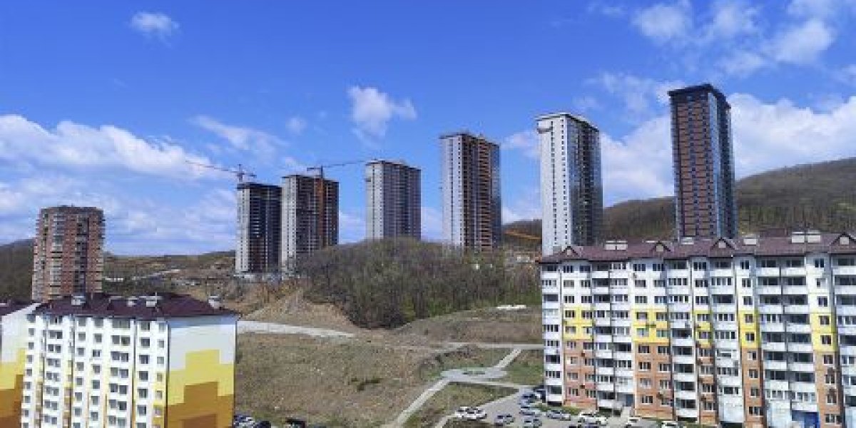 Петицию против жилой застройки вместо пруда с краснокнижными птицами распространяют владивостокцы