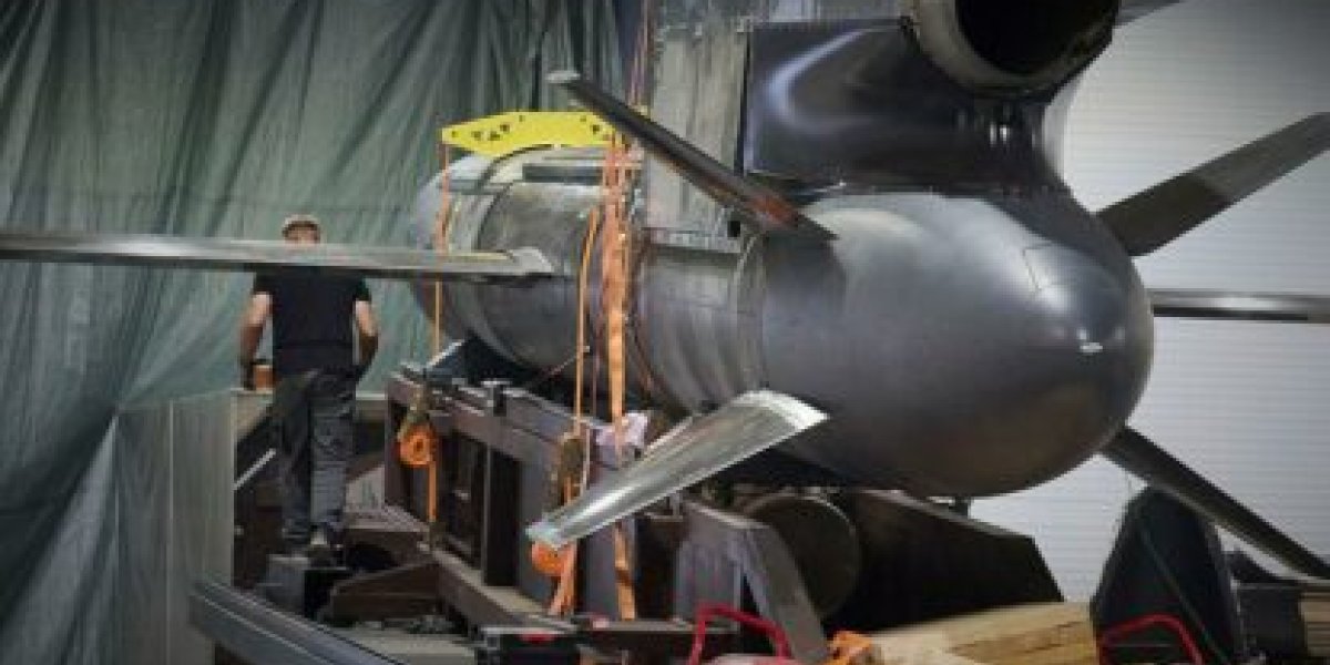 Чем нам грозит &laquo;Фламинго&raquo; &ndash; экзотическая птица в курятнике ВСУ