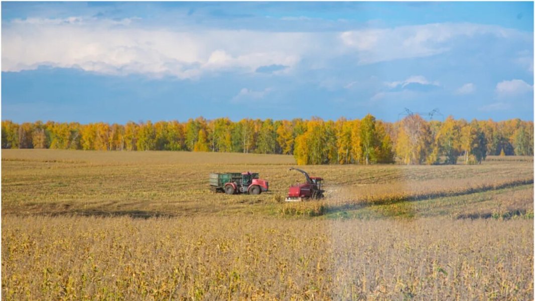 Наинспектировал! У чиновника полпредства нашли 28 млрд. Откуда такое состояние Наинспектировал! У чиновника полпредства нашли 28 млрд. Откуда такое состояние