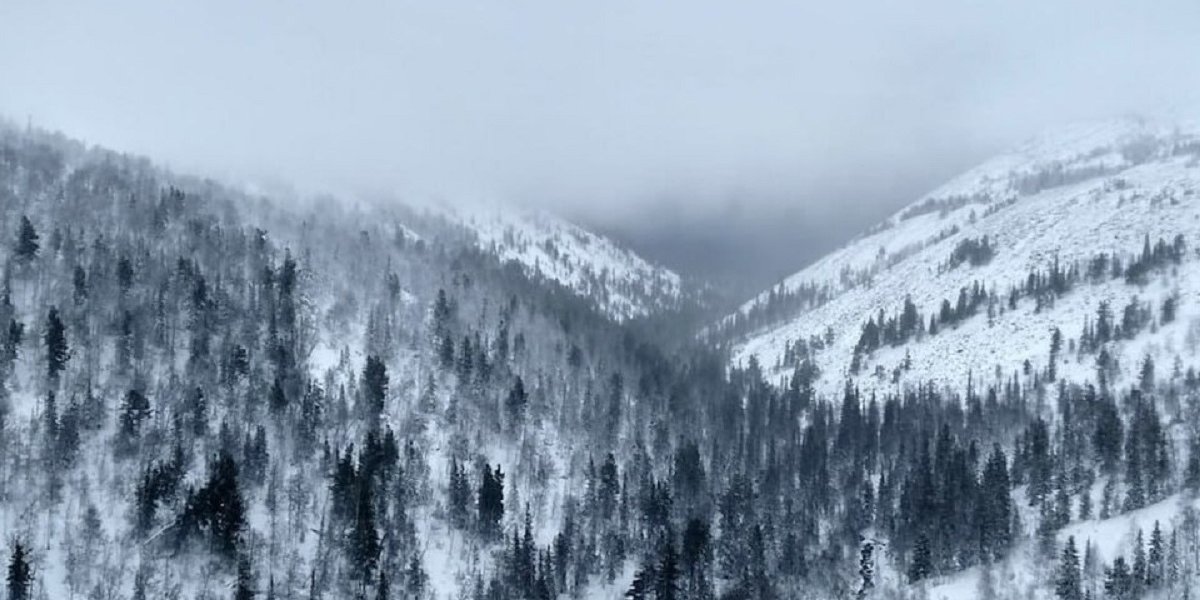 Пятеро туристов на снегоходах пропали под Пермью: людей ищут четвертый день (ФОТО)
