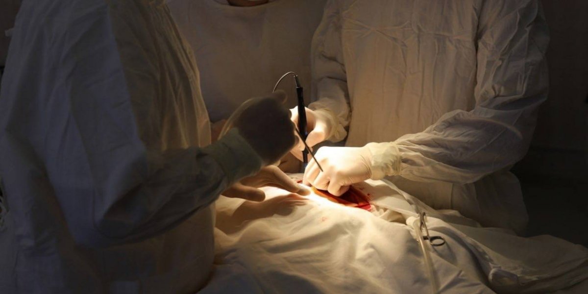 Судебные споры по поводу качества медицинских услуг Судебные споры по поводу качества медицинских услуг