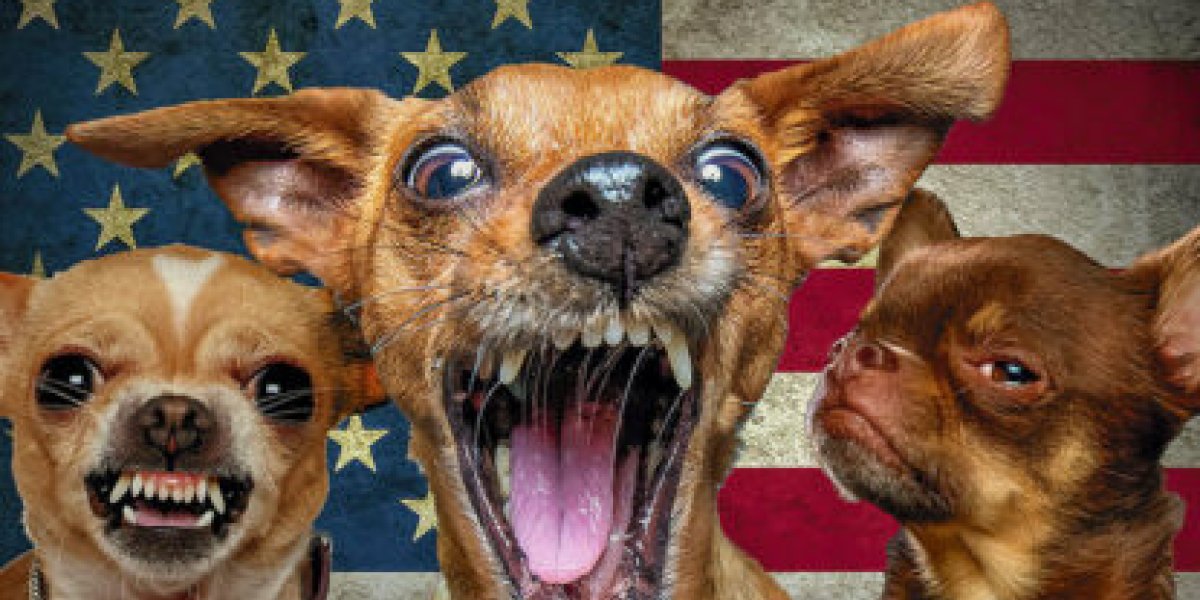 Прибалтика научит Европу умирать за НАТО