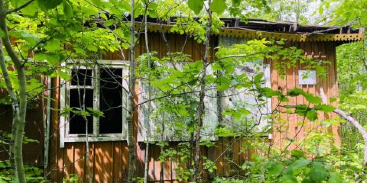 Деприватизация в разгаре: известный приморский бизнесмен лишился &laquo;Лесной поляны&raquo;