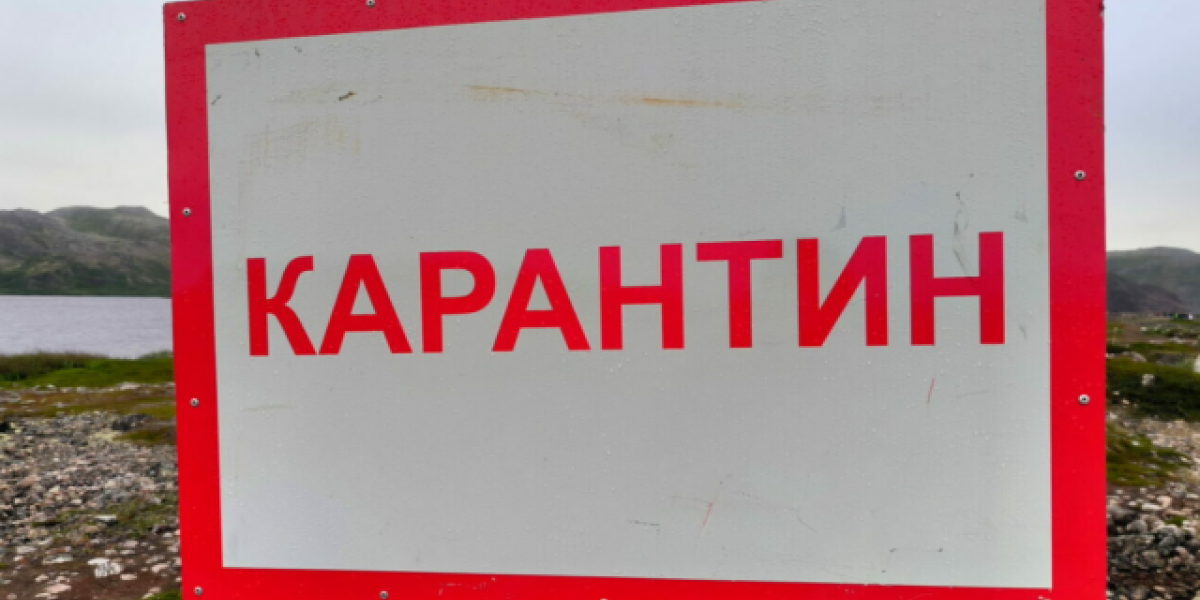 Новый карантин по бешенству введен в селе Дубынка Тюменской области