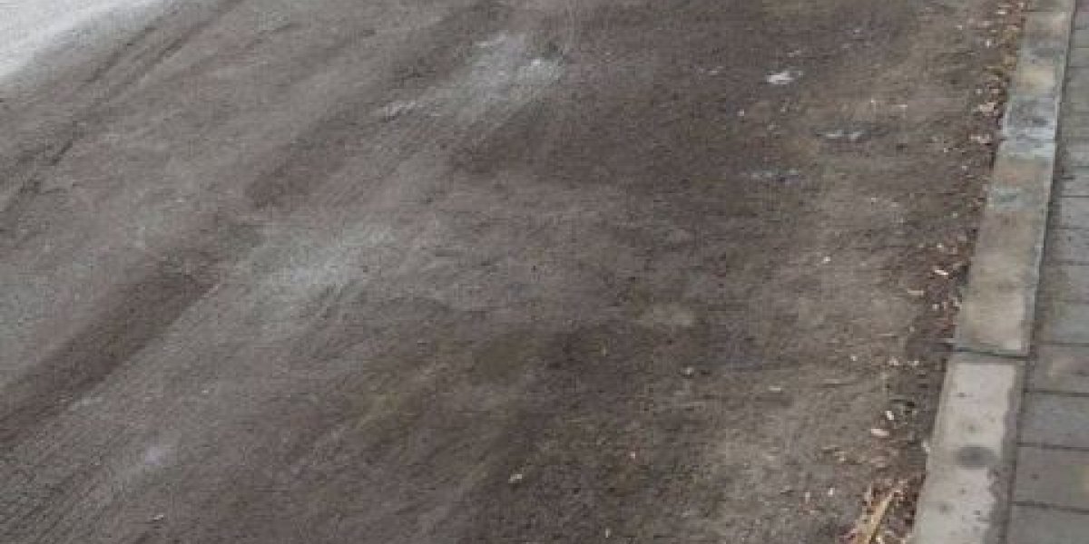 Грязевая столица: жители Владивостока жалуются на повсеместную антисанитарию Грязевая столица: жители Владивостока жалуются на повсеместную антисанитарию