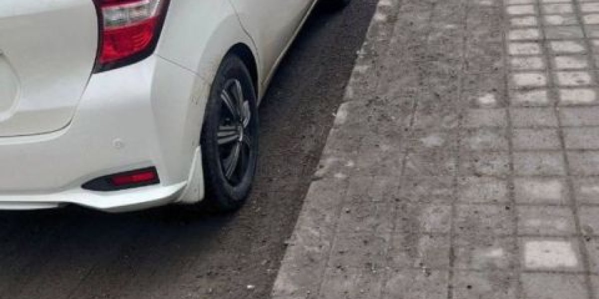 Грязевая столица: жители Владивостока жалуются на повсеместную антисанитарию Грязевая столица: жители Владивостока жалуются на повсеместную антисанитарию