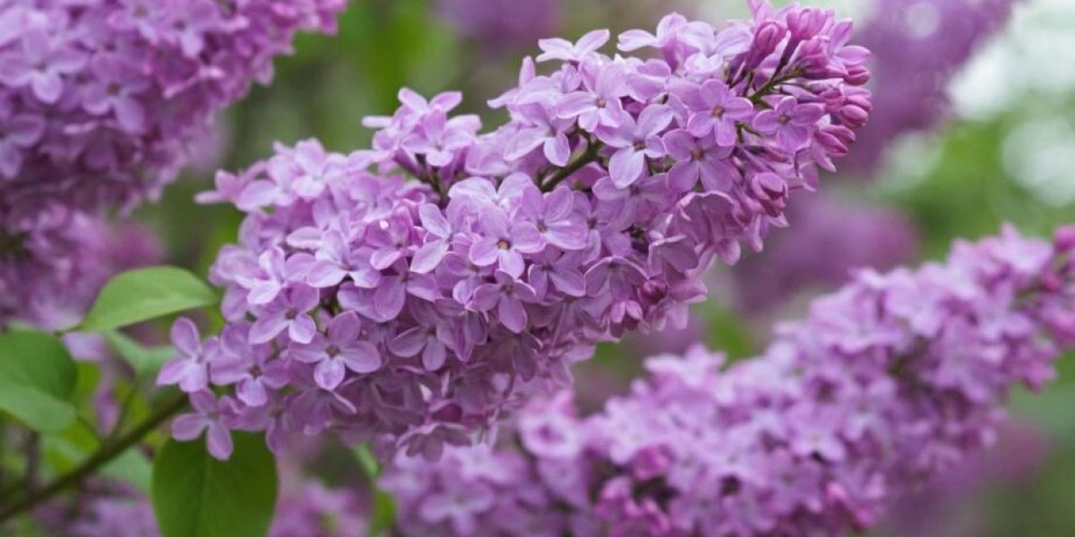 Запахнет весной: синоптики назвали дату ухода лютых морозов