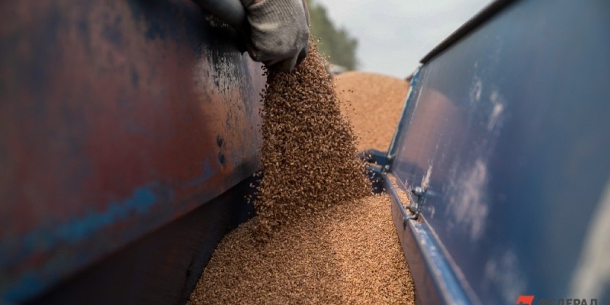 Путин получил большой подарок от EC: Украину выгнали с рынков зерна