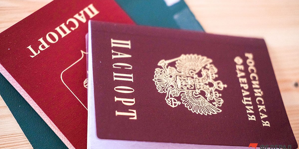 В МВД раскрыли, сколько украинцев попросили убежище в РФ с 2022 года