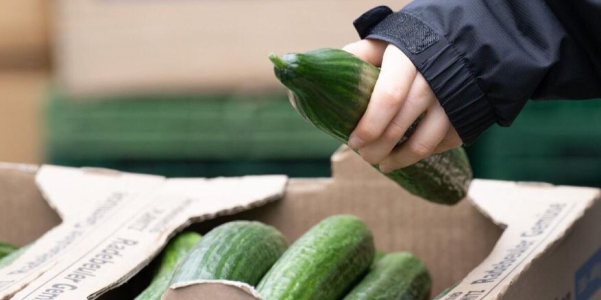 Для борьбы с ростом цен нужны меры госрегулирования: Миронов