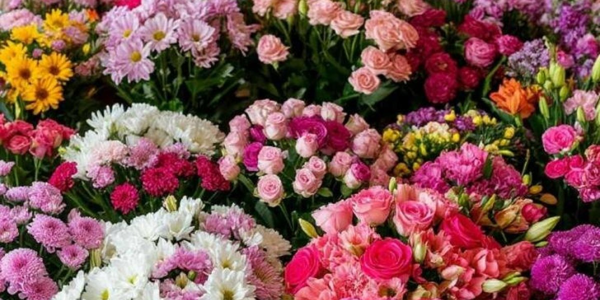 Как выбрать цветы на 8 Марта и не принести домой &laquo;однодневки&raquo;