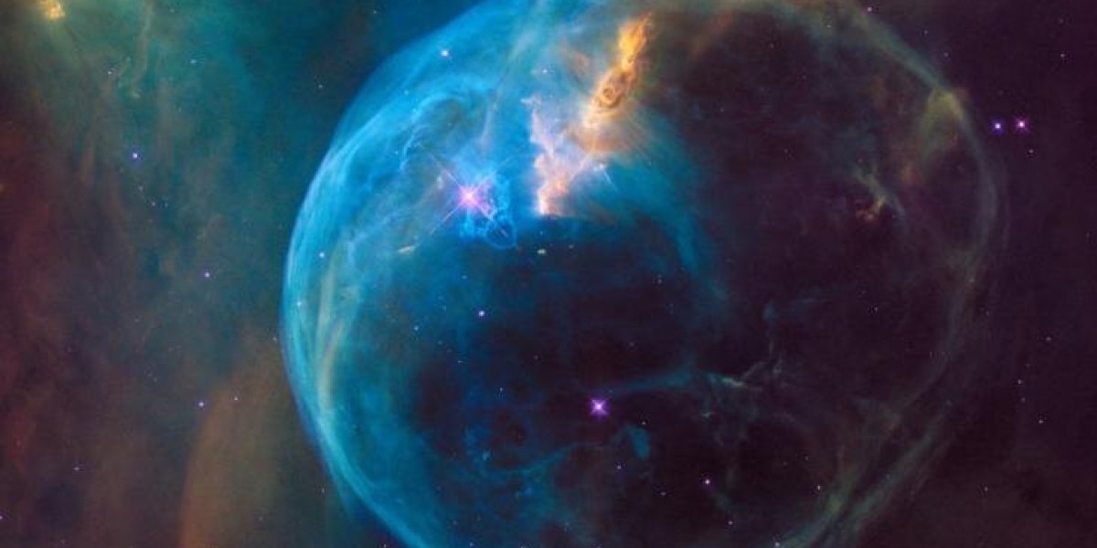 Были до Гагарина: что на самом деле стало с Белкой и Стрелкой &mdash; история дворняжек СССР