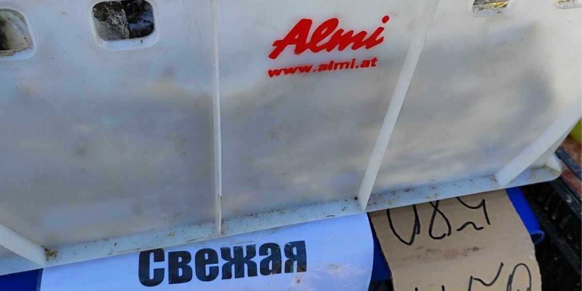 Рыба в Приморье продолжает дорожать