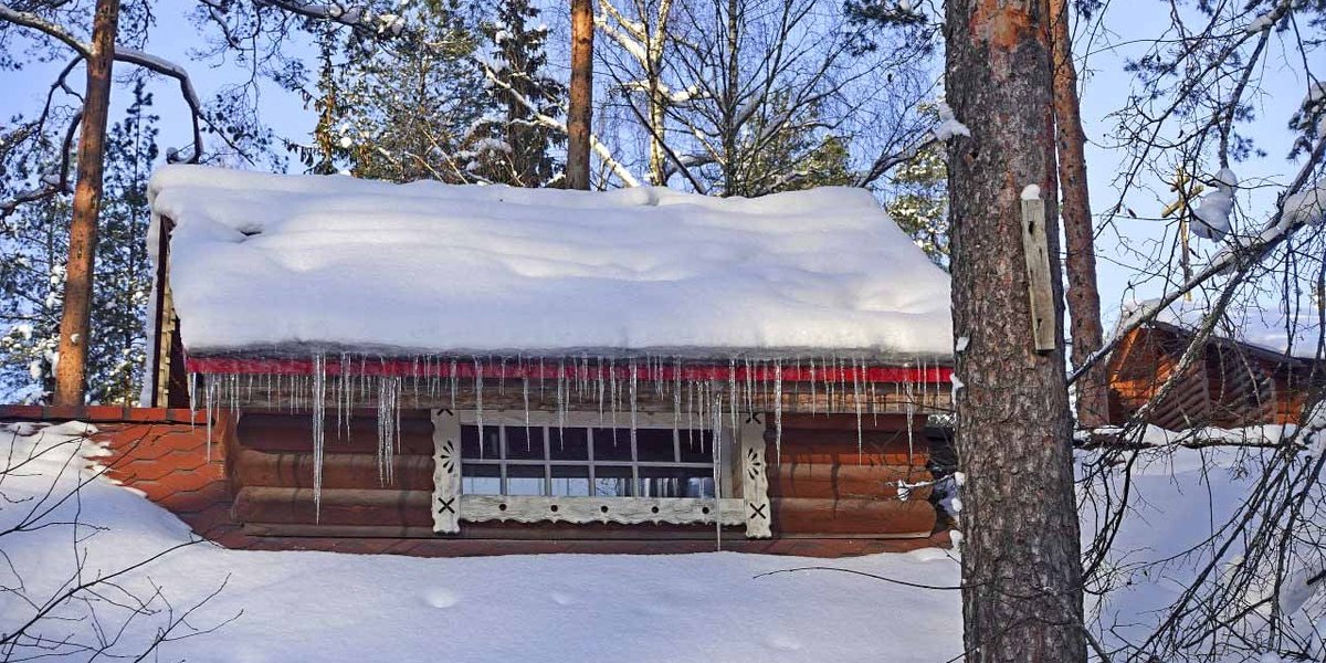 В Белоруссии продают деревню Веселуха: цена сравнима с подержанным авто