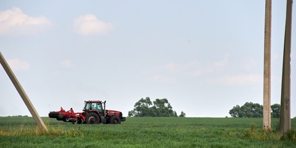 Сплошная химия и отходы: какую муку лучше не покупать