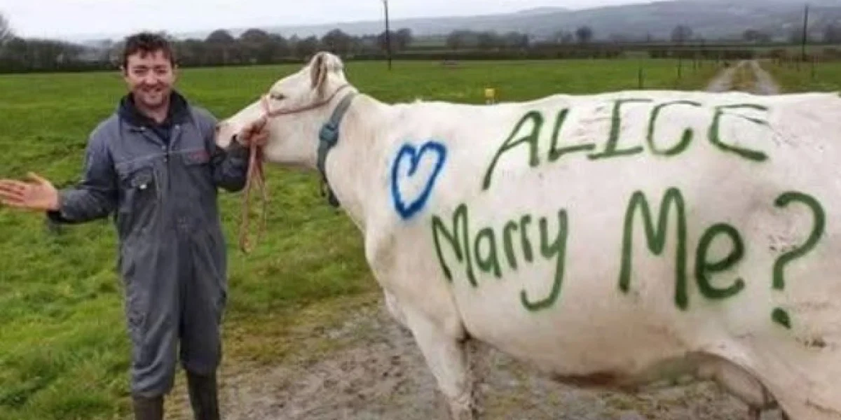 Сено, любовь и американское знамя: В Оклахоме скотовод официально оформил отношения с телочкой по имени Элис.