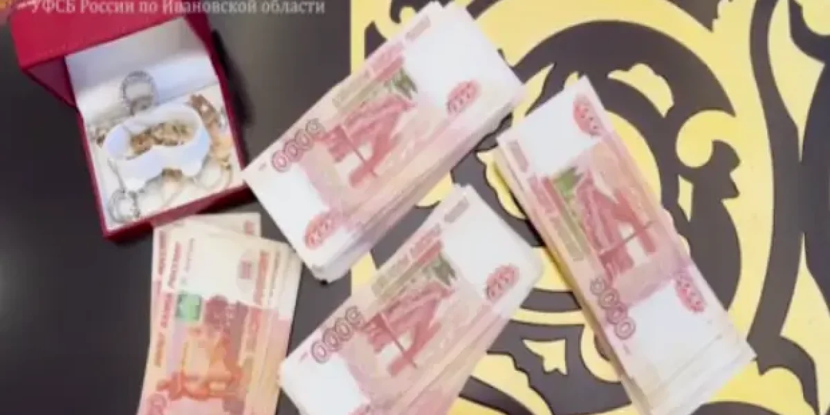 "Эти местные курицы сделают так, как им скажут". Разговор высших чиновников Ивановской области попал в Сеть