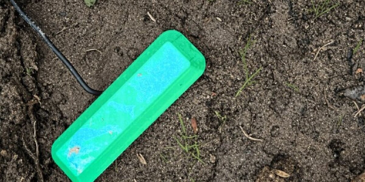 Грязь вместо батареек: новый почвенный топливный элемент работает годами